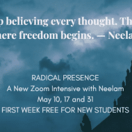 Radically Present: Find True Freedom in Today's World